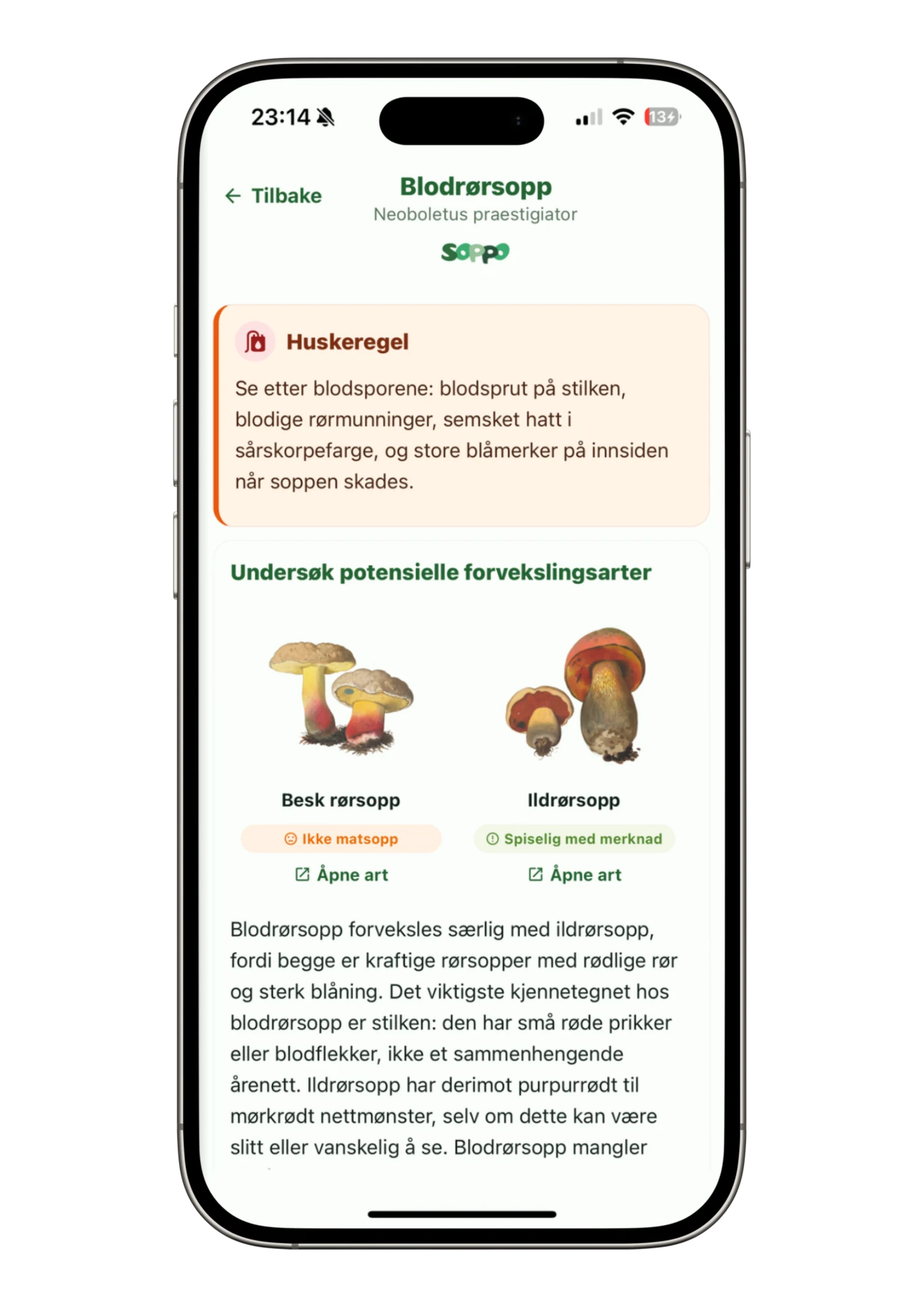 Huskeregel og forvekslingsarter for blodrørsopp i Soppo